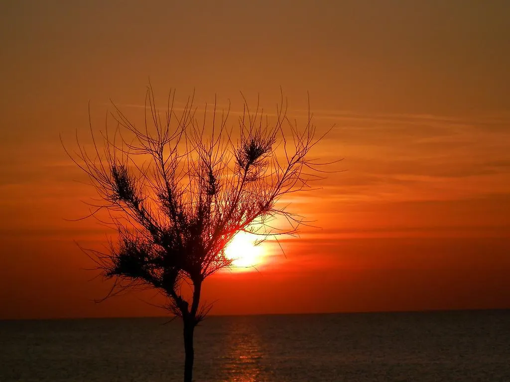 Bed & Breakfast Al Fakhar Bed and Breakfast Ficarra