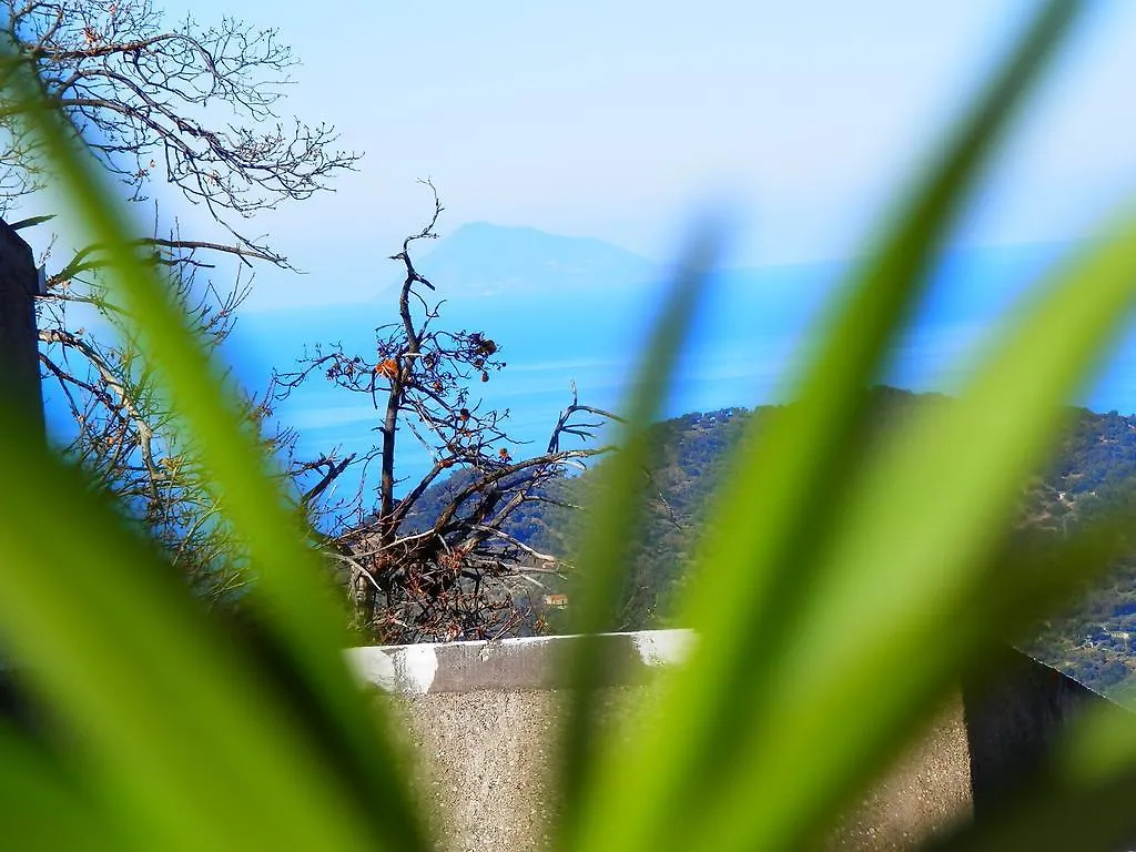 Ficarra Al Fakhar B&B
